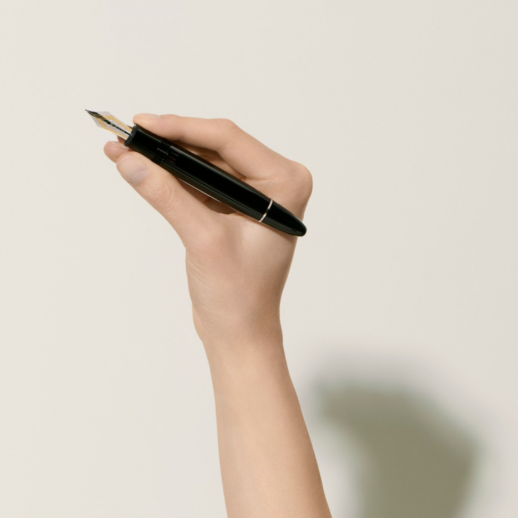 Stylo-Plume Meisterstück avec métal platiné