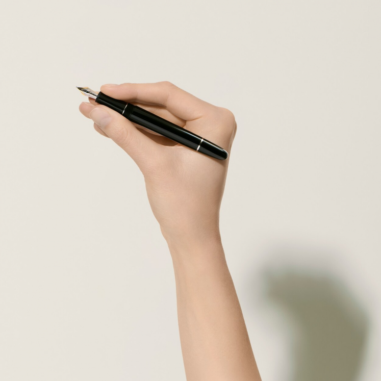 Stylo-Plume Meisterstück avec métal platiné