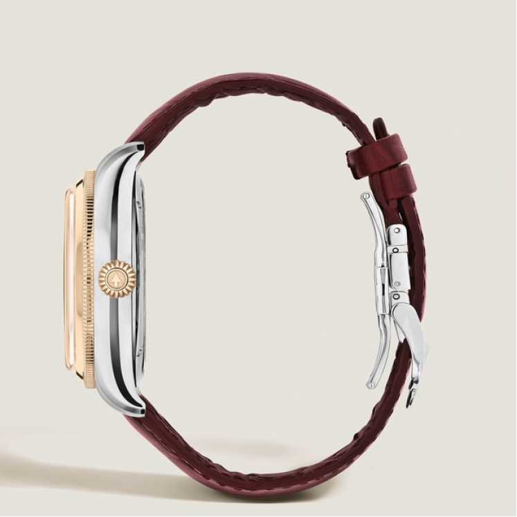 Minerva The Unveiled Secret Limited Edition - 58 Pièces